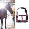 Horse   Wrproof Nylon Comfortable   Chin and Throat Snap   for Training Equestrian