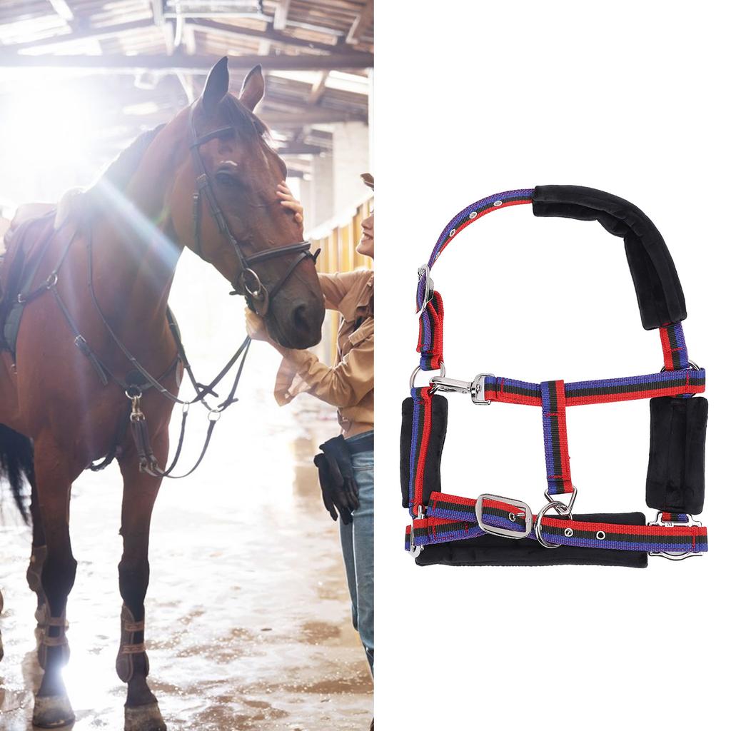 Horse   Wrproof Nylon Comfortable   Chin and Throat Snap   for Training Equestrian