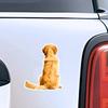 Golden Retriever Pet Dog Car Stickers Waterproof Vinyl Decals Auto Body Window Bumper Decor Motorcycle Helmet Stickers TM202