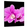SZKLANA DESKA DO KROJENIA 40x52 Orchidea