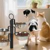 Elevated Pet Feeding Station Splash Proof For Comfortable Dog Dining Feeding Bowl Adjustable Heights