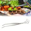 Stainless Steel Bonsai Rake Lightweight Root Rake Durable Gardening Tool  Potted Plants