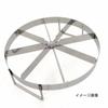 Endo Shoji Commercial Torte Cutter, Stainless Steel, Made in Japan, WTL30914