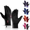 2025 Touchscreen Fleece Warm Gloves Outdoor Cycling Driving Waterproof Cold Gloves Windproof Non Slip Women Men Winter Ski Glove