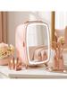Mini Fridge 6 Liter LED Mirror Cosmetics Fridge Pink