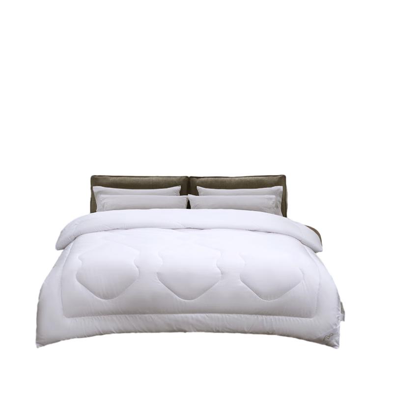 Mercury Home Textiles Dusang All-Season Fiber Quilt