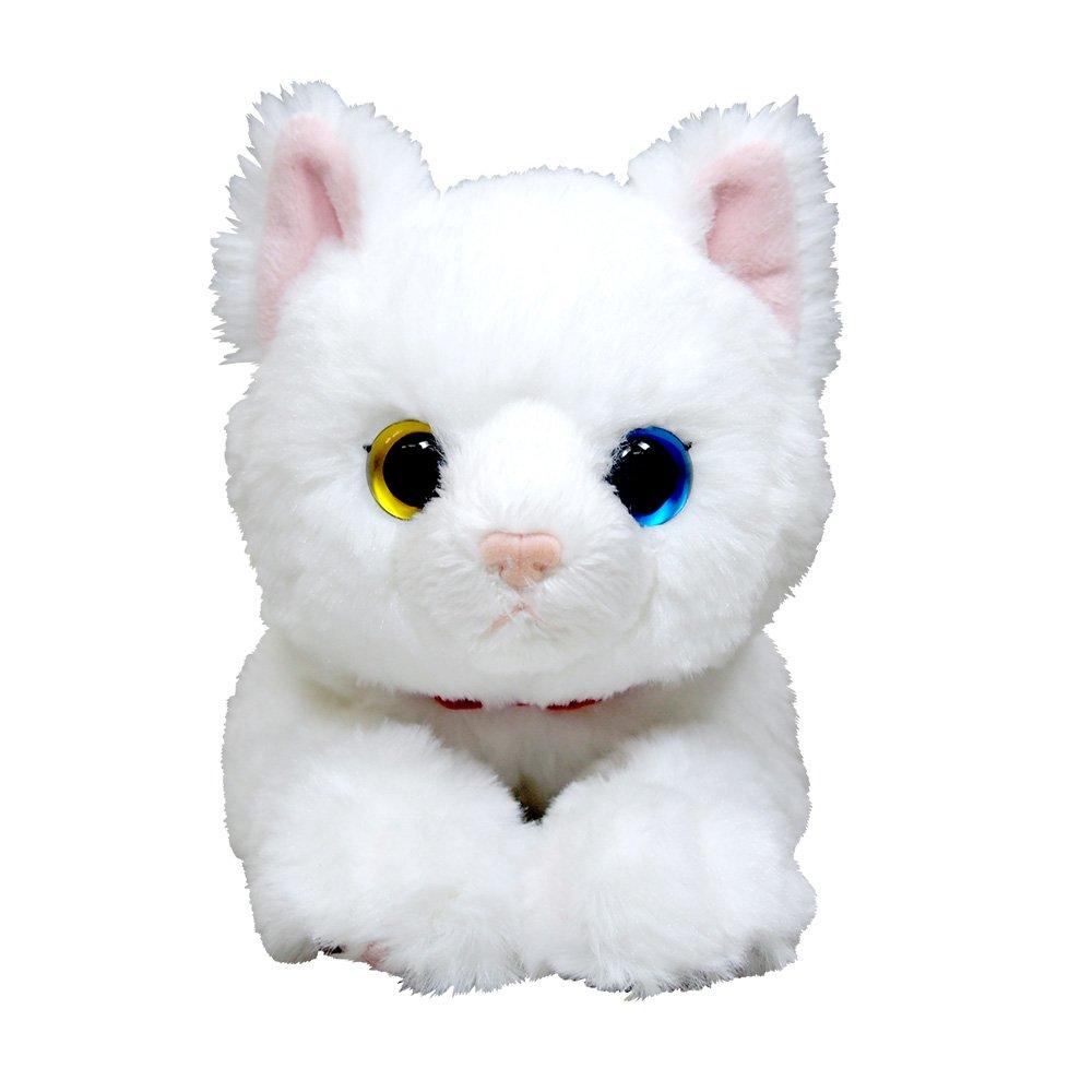 Sun Lemon Lap Cat Plush Toy Small White Odd Eyes