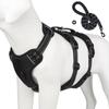 Beanshop Dog Harness Leash Set 3-stage Chest Strap, Black