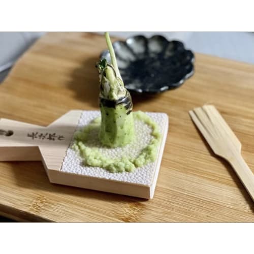 Chojiro Large Shark Skin Grater and Bamboo Scraper, a Must-Have for Craftsmen