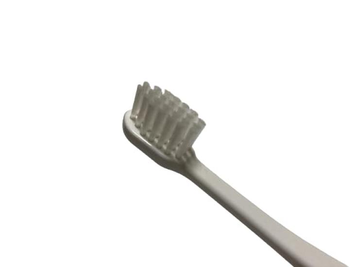 Sanyo Bussan 100-pack of Individually Packaged Disposable Toothbrushes and Toothpaste for Commercial Use. Made In Japan. Hotel Amenity. (100 Pieces)