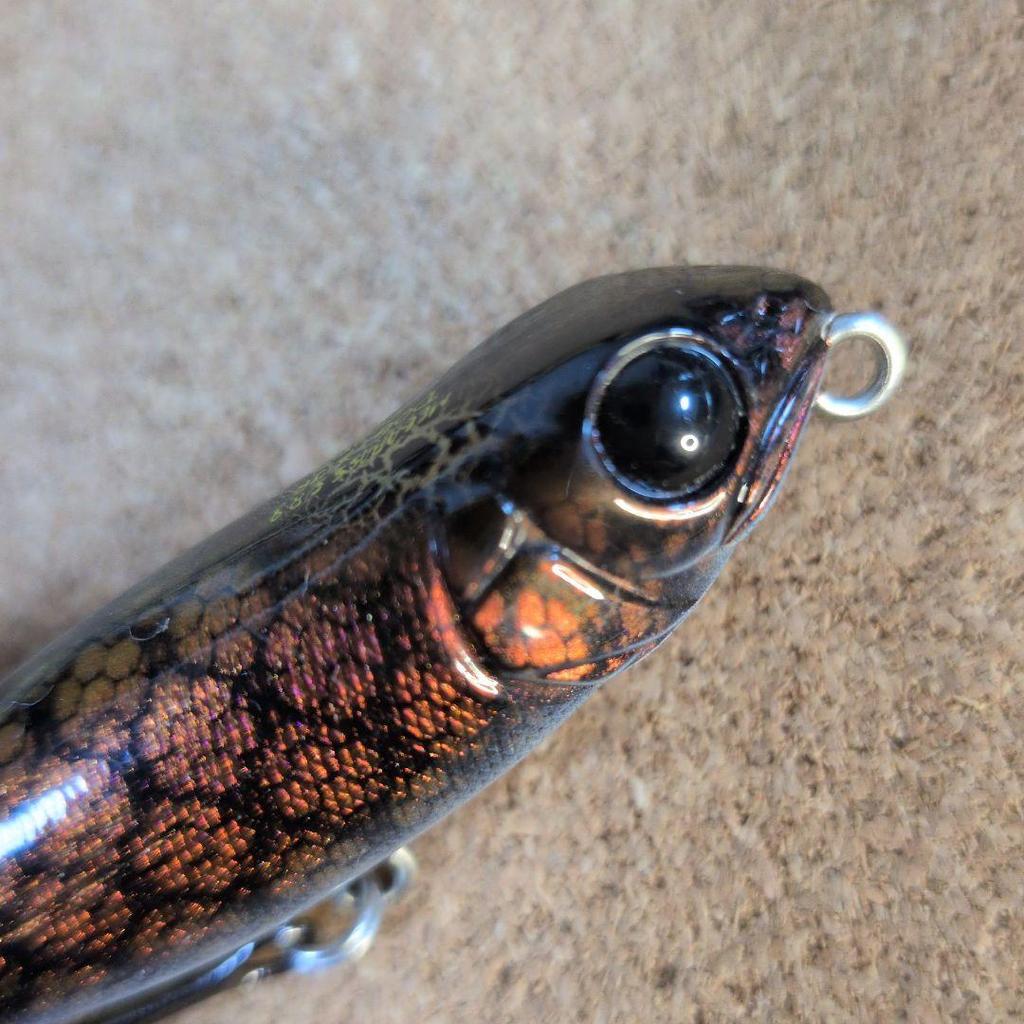 Used Megabass Dogx Jr. Orochi Dogx Limited Color