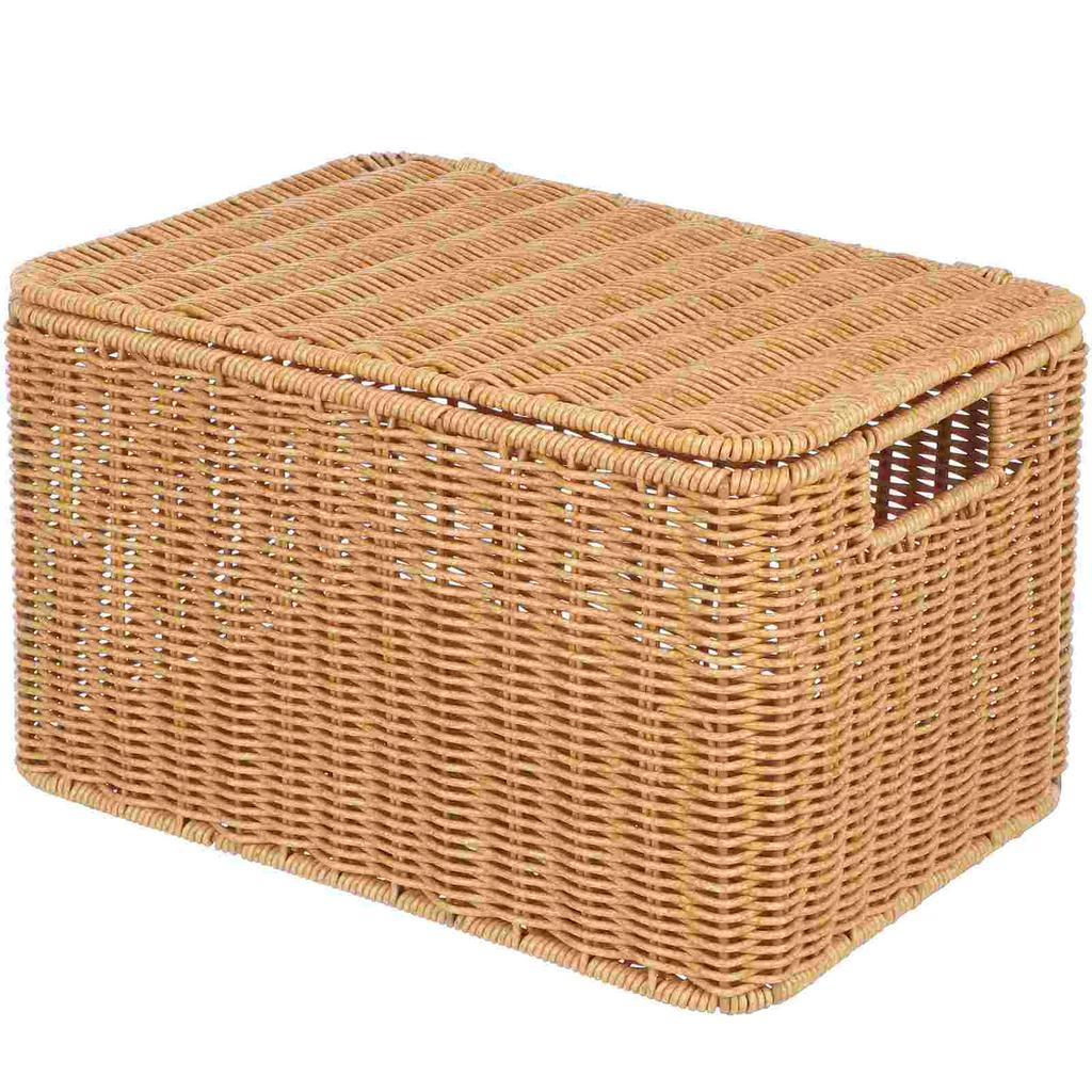 Woven Storage Basket Snack Containers Sundry Receiving Drawer with Lid Clothes Iron Frame Pp Rattan Multi-function Clothing