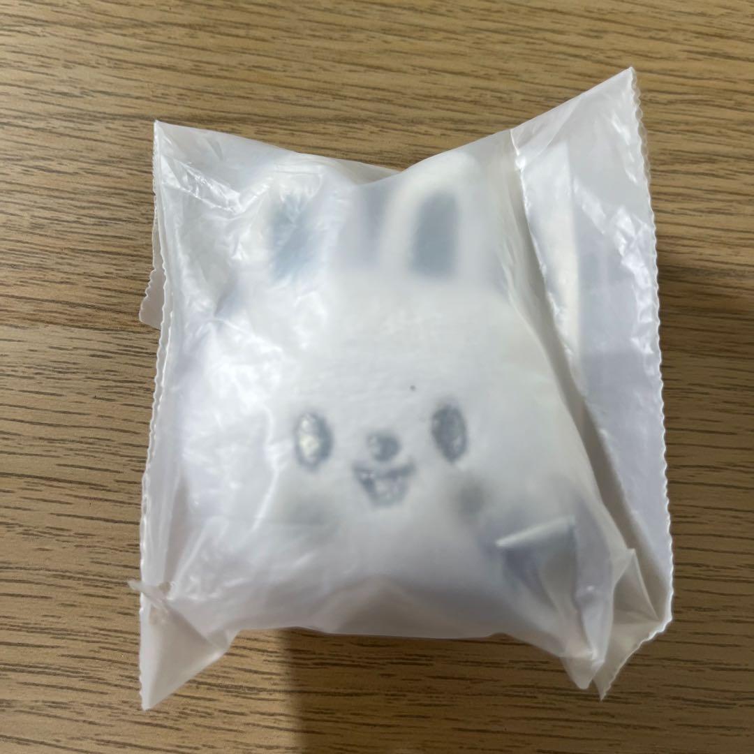 

[USED] Stray Kids Korean Pop-Up Face Keyring, Silver, Reno