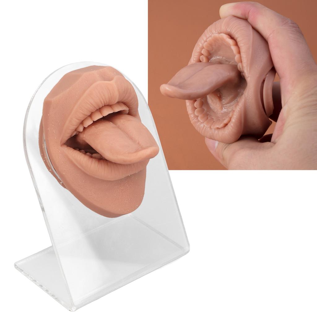 Human Tongue Model Soft Silicone Lifelike Acrylic Stand Mouth Model for Jewelry Display Flesh Blond