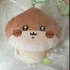 Complete set Brand unopened tagsChikawa Seasonal Mascot