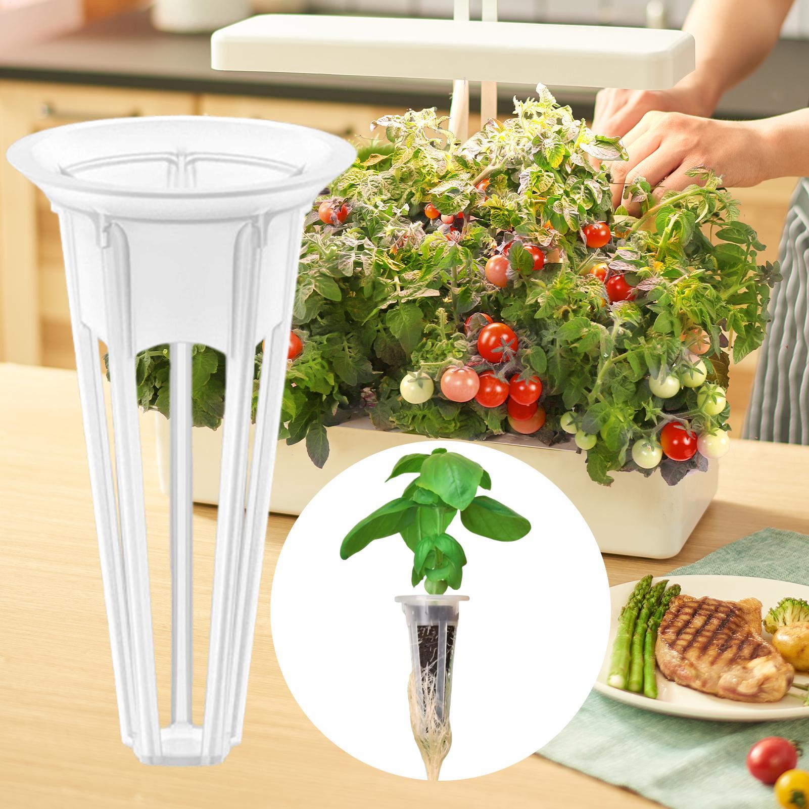 

27Pcs Reusable Veg Hydroponic Planting Basket For Plant Soilless Cultivation System Garden Plant Grow Mesh Pot China Mainland
