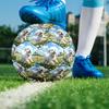 1pc Daisy Field Pup Theme Soccer Ball Football, Size 5, Lightweight PVC, Durable Outdoor Training Soccer Ball, Gift M61485