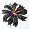 10PCS/lot Natural Roosters Tail Feather Bulk 10-16inch/25-40cm Cock Chicken Feathers Decorations for Carnival Stage Performances