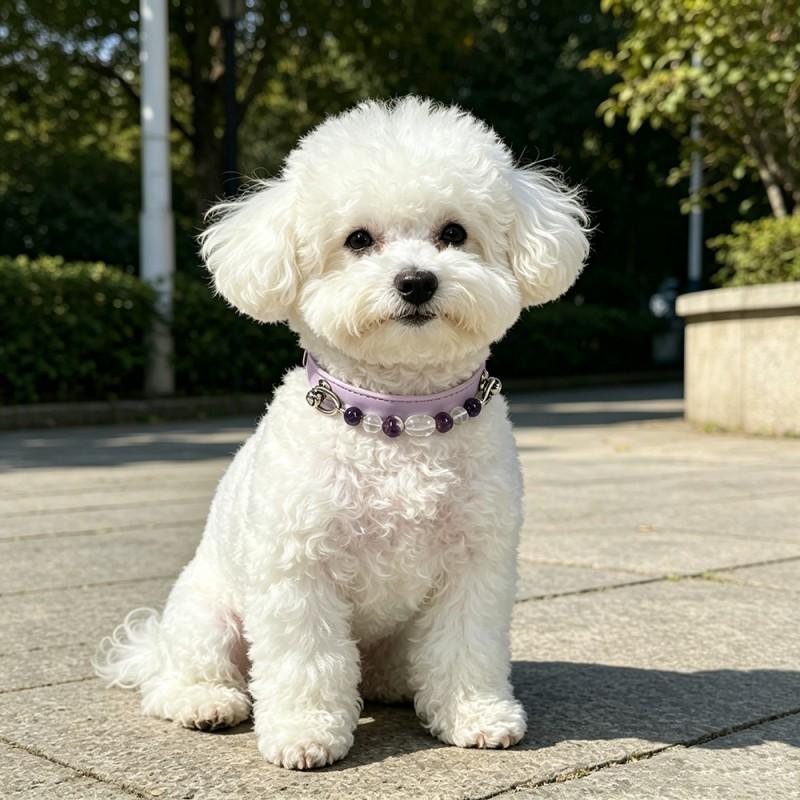 Adjustable Pet Collar With Pearl Decor Dogs Cats PU Leather Safety Neckband Stylish Accessory Daily Walks