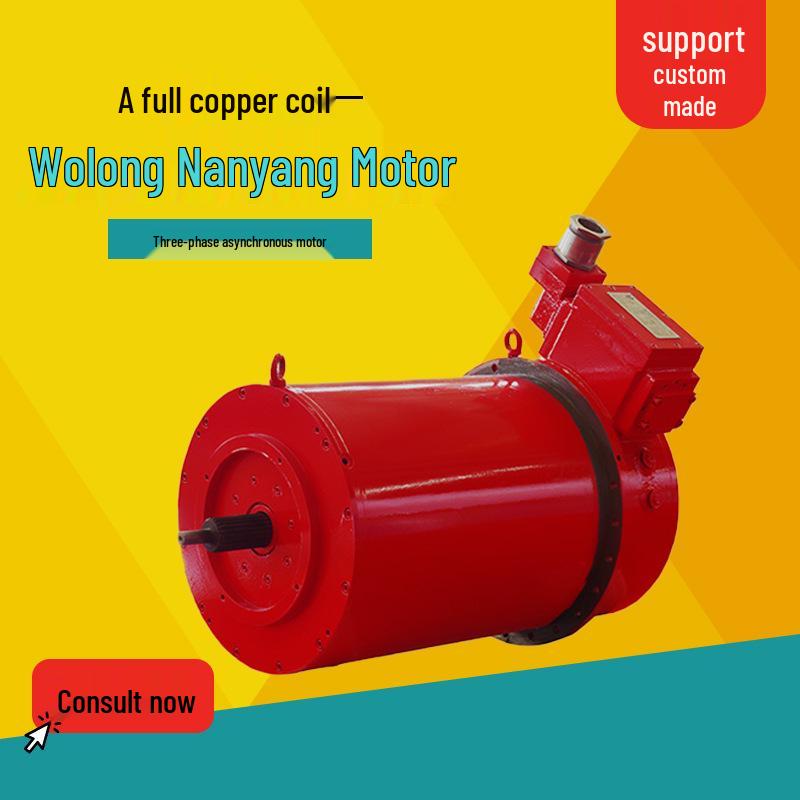Wolong Nanyang Ultra-Efficient NEMA Three-Phase All-Copper Motor