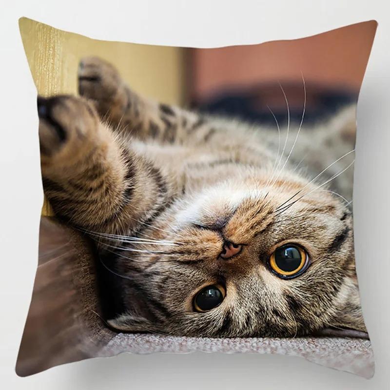 Süße Katze Umarmungskissenbezug Haustier Interaktive Illustration Kissen Heilende Heimdekoration Sofakissen