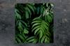 SZKLANA PŁYTA OCHRONNA NA KUCHENKĘ 50x52 MONSTERA