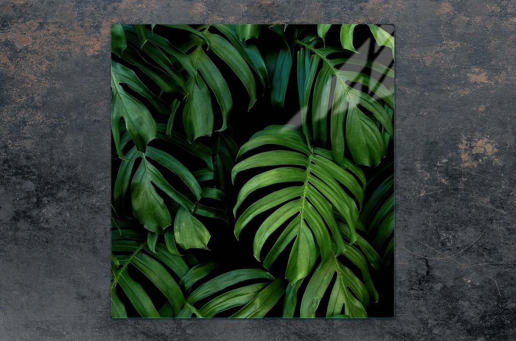 SZKLANA PŁYTA OCHRONNA NA KUCHENKĘ 50x52 MONSTERA