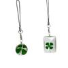 1 Pc Natural Clover Pendant Cross Border Lucky Star Dried Flower Bag Keychain Green Glass Pendant Pendant