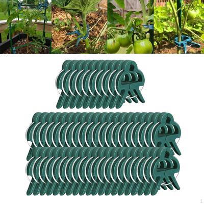 50 Clips for Fixing Tomato Stakes And Other Vegetable Supports