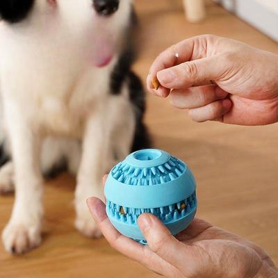Cani – Giocattoli per cani