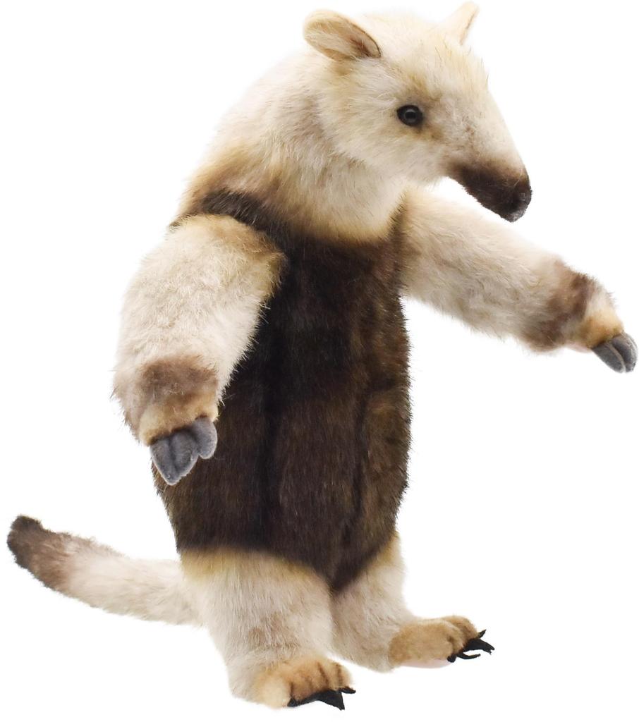 BH8137 HANSA Koalikui 32