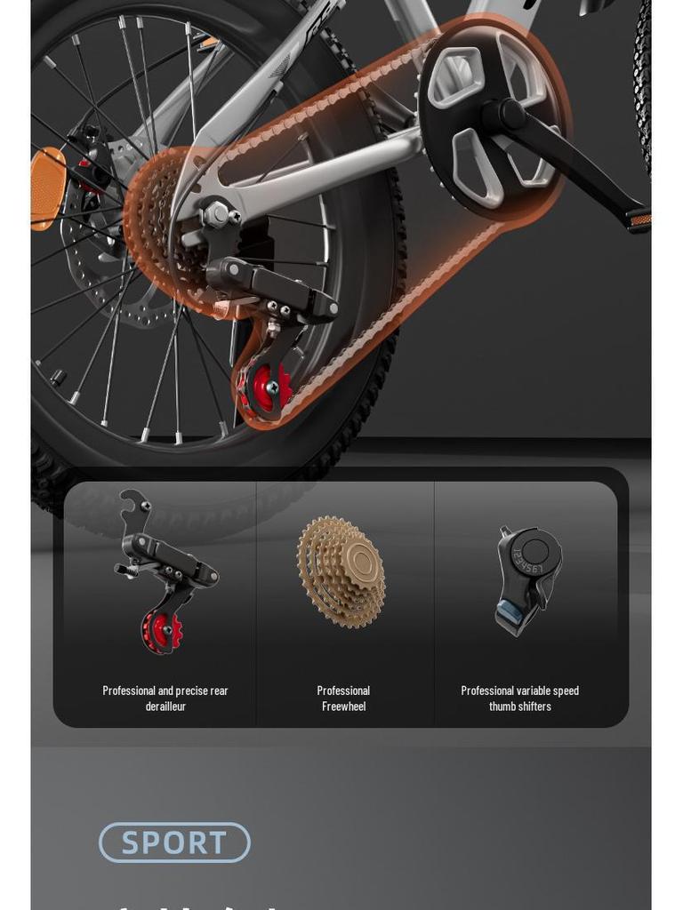 Kids' Mountain Bike: Dual-Speed, Double Disc Brake with Shock Absorption