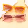 Superhot Eyewear 16234 Fashion 2021 Vintage Square Cat Eye Women Trendy Sunglasses