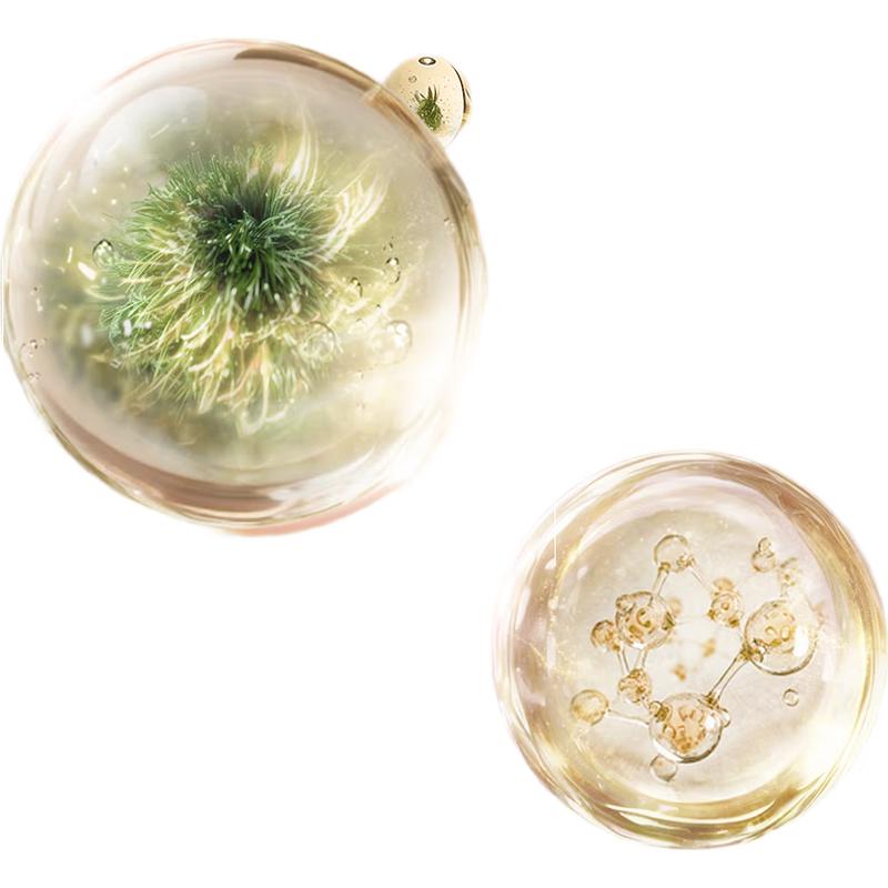 Pechoin Polypeptide PDRN Essence Ampoule