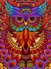 5d Diamond Painting New Owl Cartoon Full Square/round Embroidery Colorful Bird Animal Mosaic Home Decor