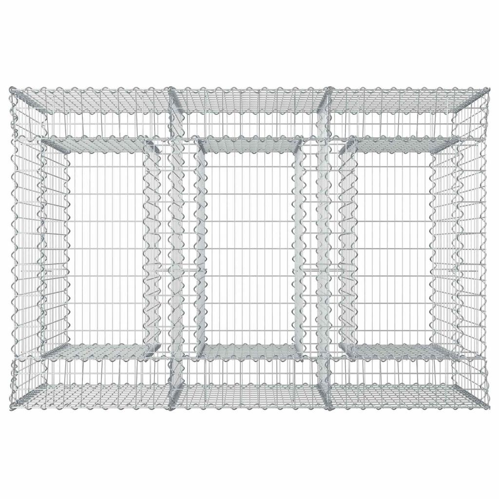 Gabion Raised Bed Set 2 Pcs Silver