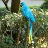 Kunstveer Blauwe Vogels Papegaai Knutselen Taxidermie Woondecoratie Ornament