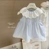 Baby Girls Light Blue Eyelet Lace Collar Sleeveless Sundress, Pleated Lace Trim Loose A-Line Toddler Summer Dress