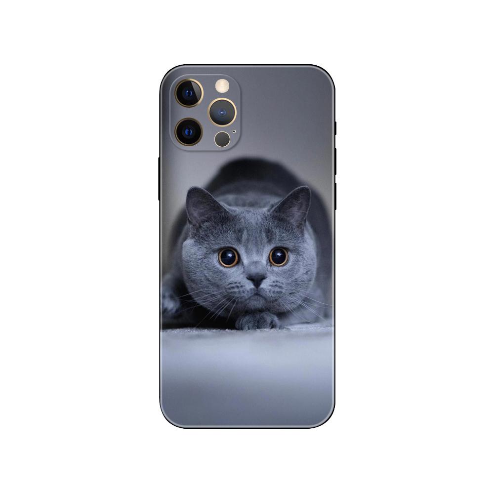 

Чехол для телефона с рисунком британской короткошерстной кошки для iPhone 5 2020se 6 6s 7 8 plus x 10 XR XS 11 12 13 mini pro MAX, черная задняя крышка из ТПУ iphone 5 5S SE 2016