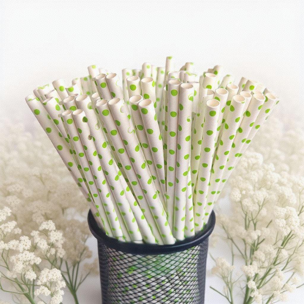 Individually Wrapped Biodegradable Striped Paper Straws