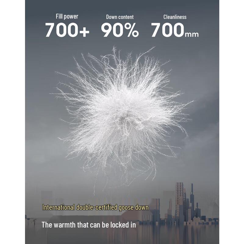 Bosideng B250134151 Short Stand-Collar Down Jacket