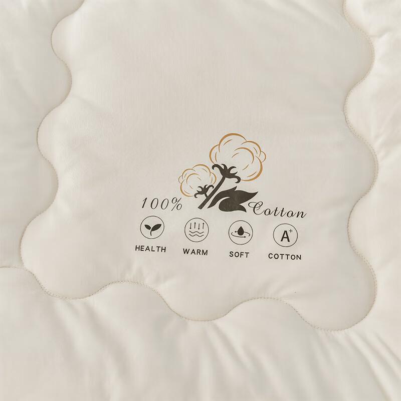 FIRS Xinjiang 100% Cotton Winter Quilt