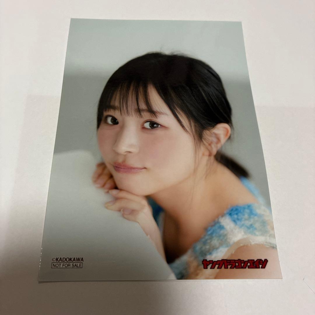 [USED] Hina Sakurai Young Dragon Age Gamers Purchase Bonus Bromide
