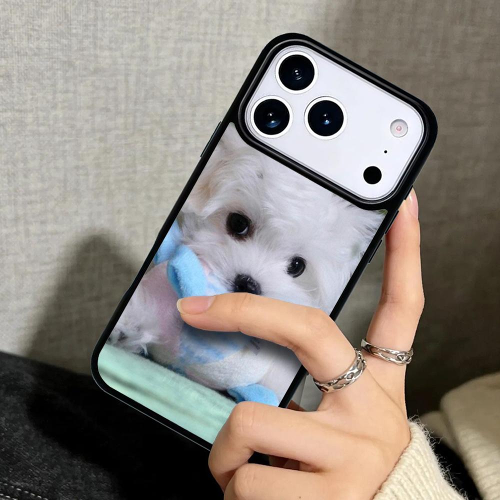 Capa Case for iPhone 17 Air 16 Pro Max 15 Plus 11 13 Mini 14 12 Back Phone Cover Maltese Dog Puppy