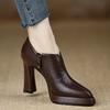 Pointed Toe Women's Chunky Platform Heels - 2025 European & American Style Ankle Boots