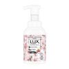 Luxurious Amino Acid Antibacterial Foaming Hand Wash