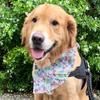 Bandana/sciarpa per cani di taglia media e grande, adatta a Golden Retriever, Samoiedo, Border Collie e Alaskan Dog.