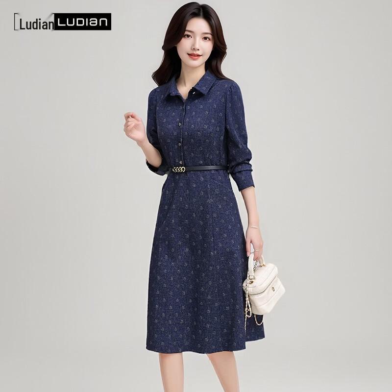 LUDIan Women's Printed A-Line Long Sleeve Dress