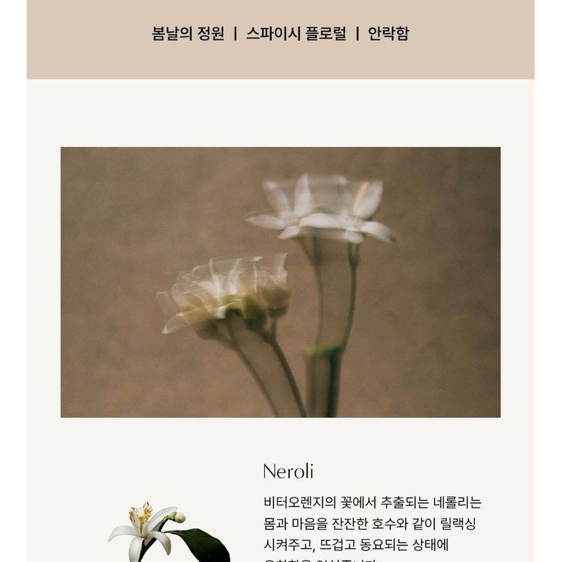 AROMATICA Embrace Body Wash Neroli & Patchouli