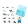 Calorata 3D Marine Creatures Encyclopedia (Whales, Dolphins, Sea Otters / 13 Species / Includes Instructions) Realistic Figures (Educational Toy) Birt